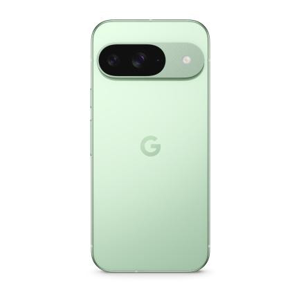 Смартфон Google Pixel 9 12/128Gb Global Wintergreen